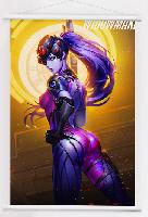 Overwatch Wallscroll - OVWS8529