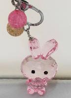 Other Keychain - ANKY7628