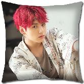 K-pop BTS Pillow - BTPW1093