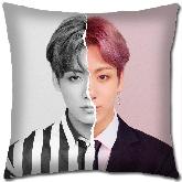 K-pop BTS Pillow - BTPW1640