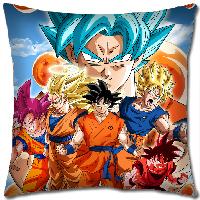 Dragon Ball Z Pillow - DBPW1177