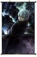 Tokyo Ghoul Wallscroll - TGWS1114