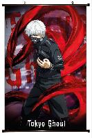 Tokyo Ghoul Wallscroll - TGWS1197