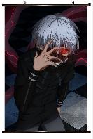 Tokyo Ghoul Wallscroll - TGWS1131