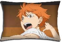 Haikiyu Pillow - HAPW9304