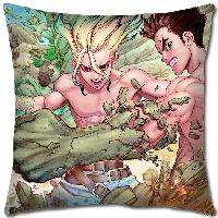 Dr STONE Pillow - DSPW2621