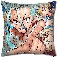 Dr STONE Pillow - DSPW9878