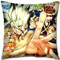 Dr STONE Pillow - DSPW8522