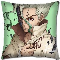 Dr STONE Pillow - DSPW9425