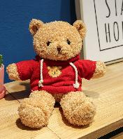 Bear Plush Dolls - ANPL0023