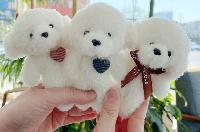 Bear Plush Keychains - ANKY0096