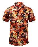 Ebay Hot Summer Hawaiian Pattern T-shirt - BETS7060