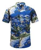 Ebay Hot Summer Hawaiian Pattern T-shirt - BETS7062