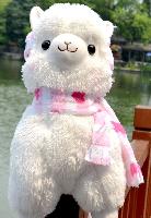 Alpaca Plush Dolls - ALPL1177