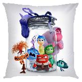 Inside out Pillow - IOPW1802