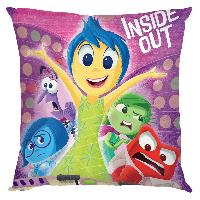 Inside out Pillow - IOPW1805