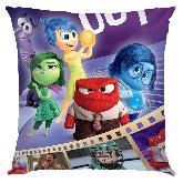 Inside out Pillow - IOPW1806