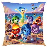 Inside out Pillow - IOPW1807