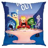 Inside out Pillow - IOPW1825