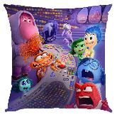 Inside out Pillow - IOPW1827