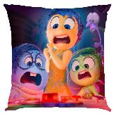 Inside out Pillow - IOPW1829