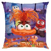 Inside out Pillow - IOPW1833