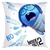 Inside out Pillow - IOPW1835