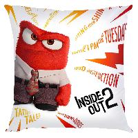 Inside out Pillow - IOPW1836