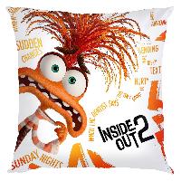 Inside out Pillow - IOPW1839