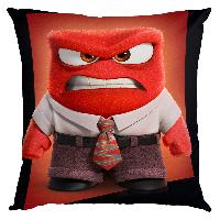 Inside out Pillow - IOPW1845