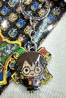 Harry Potter Keychain - HPKY4500