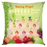 Sonny Angle Pillow  - SAPW4003